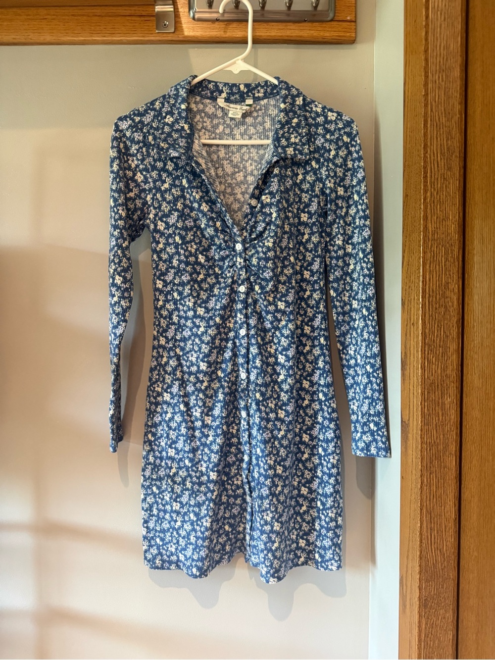 American Eagle Outfitters Blue Floral Long-Sleeve Button Dress